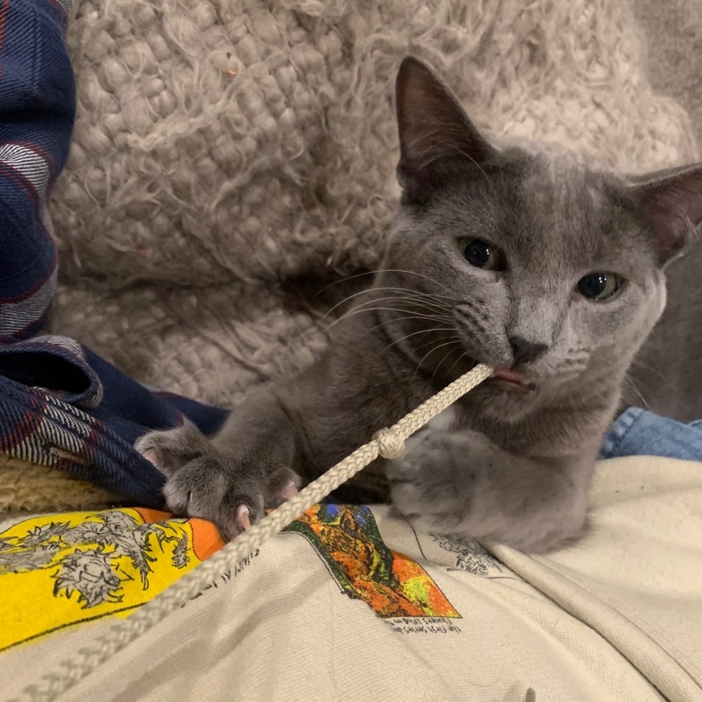 Raley - Picture 16 of 17